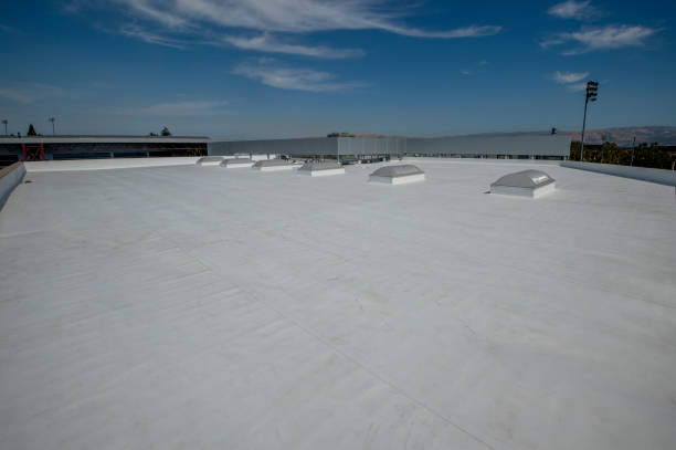 Best Emergency Roof Repair Services  in Salmon, ID